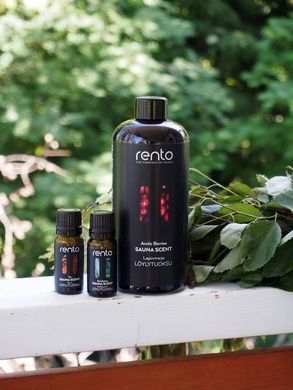 Ароматизатор 400 мл Арктичні ягоди Rento - 3